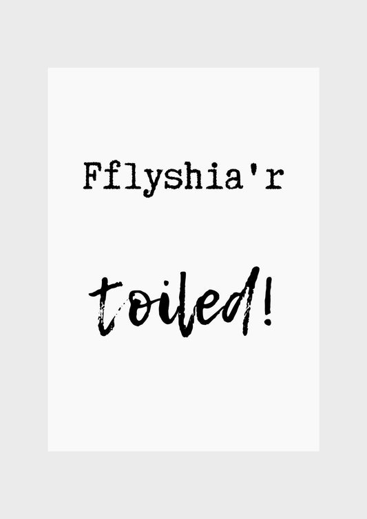 Fflyshia'r toilet