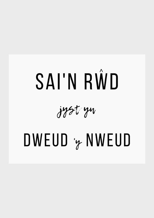Sai'n rwd jyst yn dweud 'y nweud