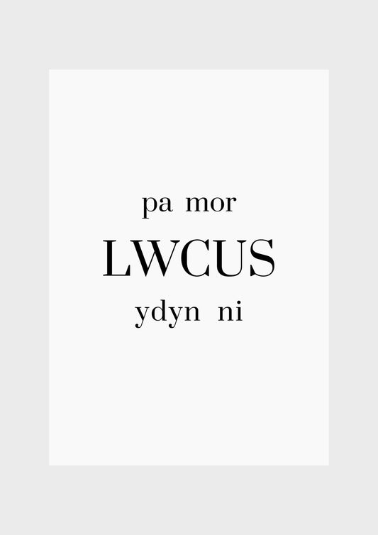 Pa mor lwcus ydyn ni 